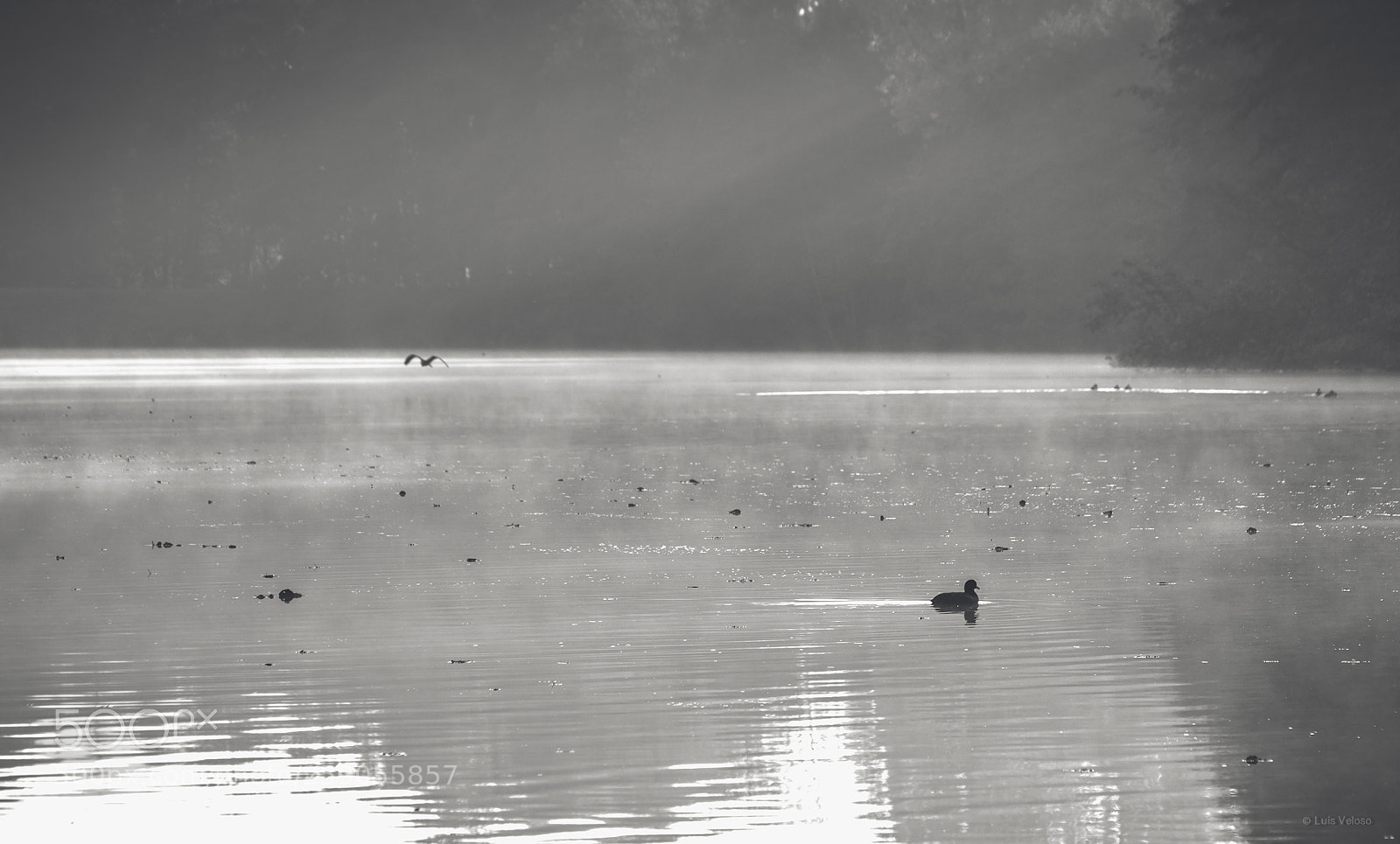 Pentax K-30 sample photo. Foggy lake photography