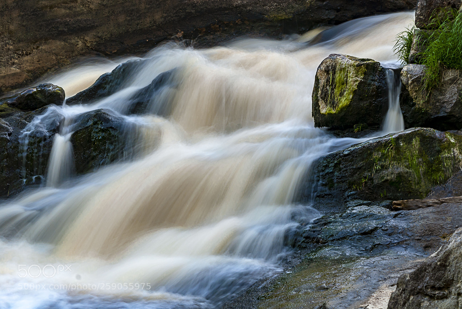 Nikon D80 sample photo. Fresh water photography