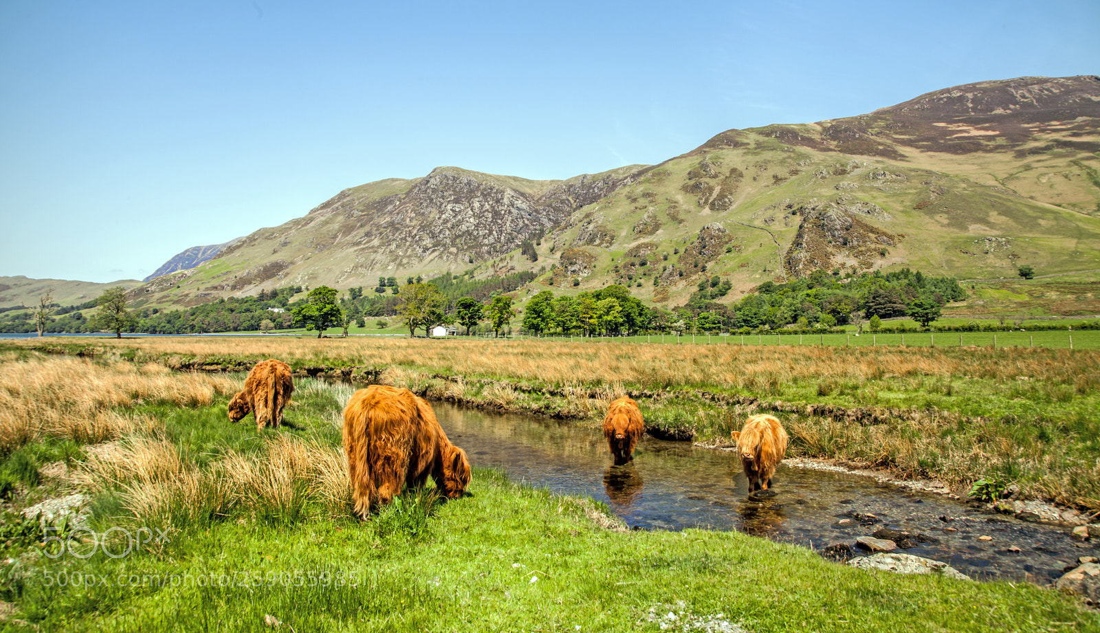 Canon EOS 5D Mark II sample photo. Buttermere-cumbria-uk photography