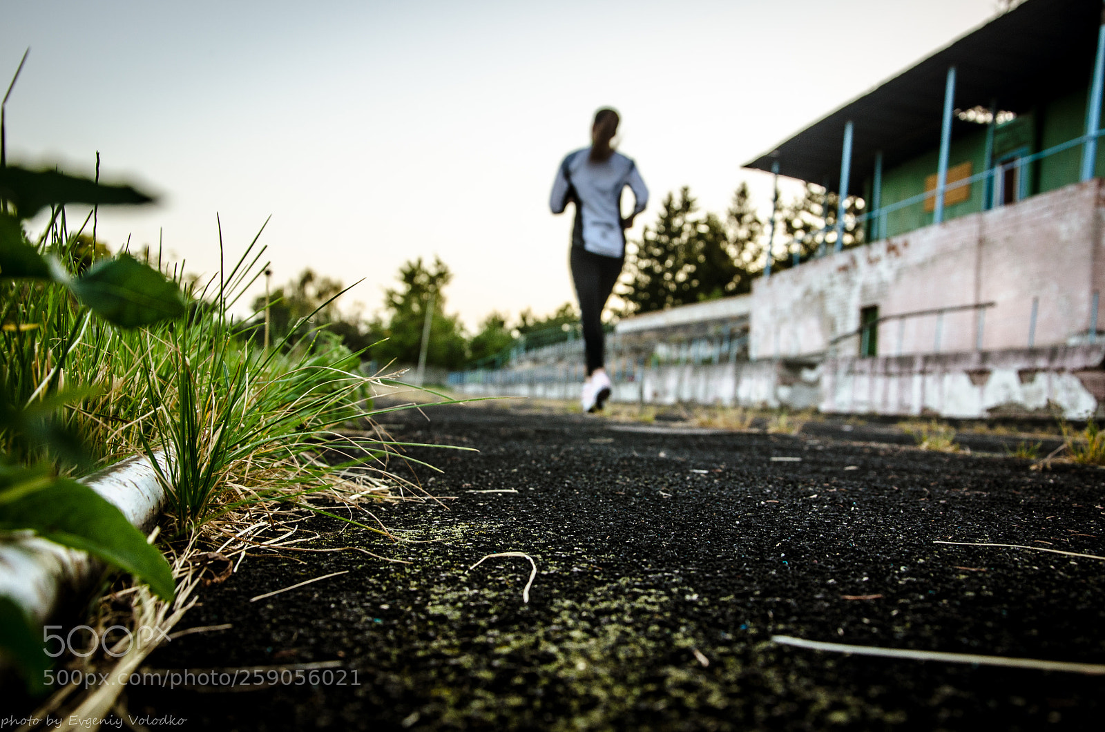 Nikon D5100 sample photo. Бег photography