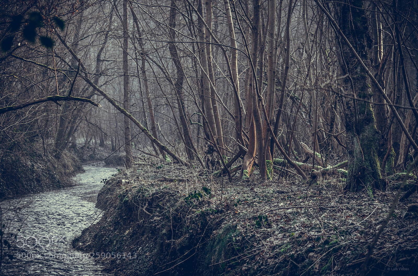 Pentax K-30 sample photo. Autumn river photography