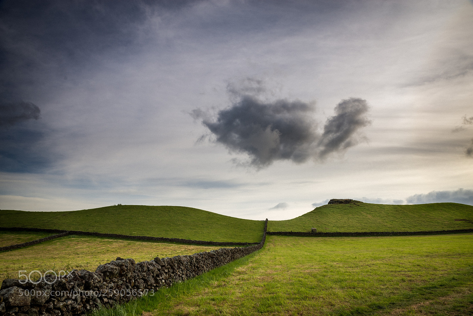 Nikon D610 sample photo. Azores photography