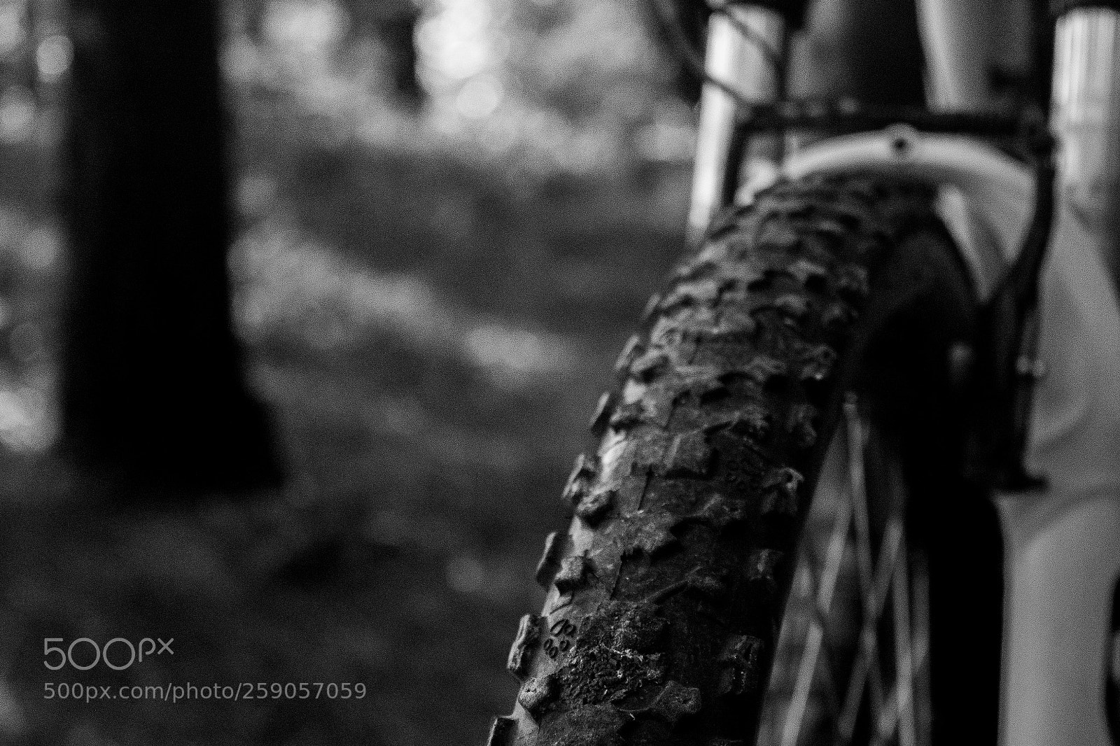 Canon EOS 1200D (EOS Rebel T5 / EOS Kiss X70 / EOS Hi) sample photo. Bike photography