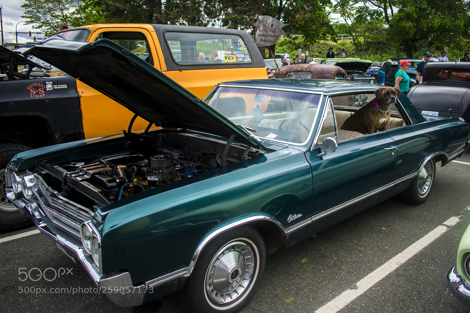 Nikon D3400 sample photo. Oldsmobile cutlass photography