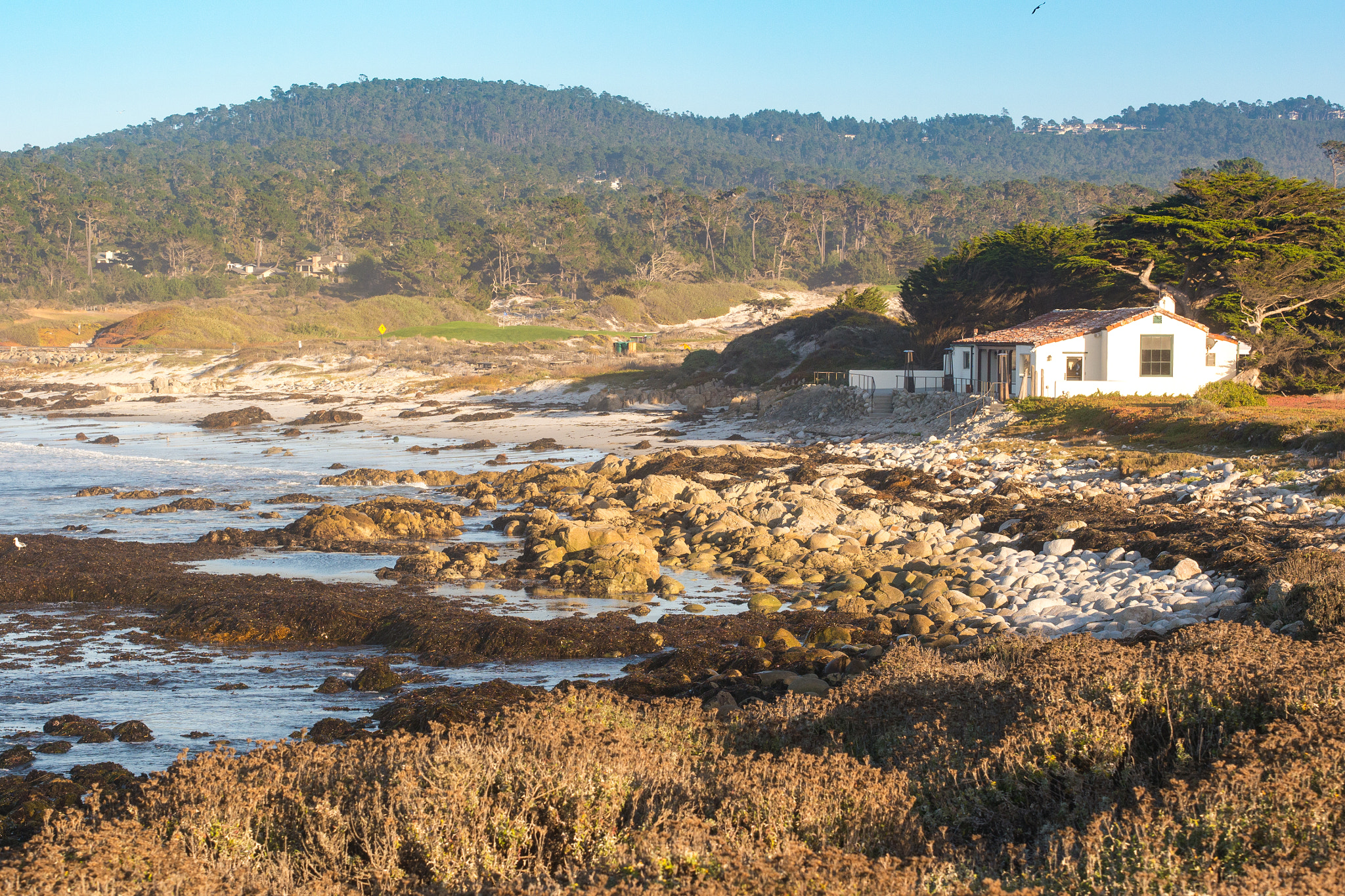 Panasonic Lumix DMC-G5 sample photo. Sunset in the 17 mile drive photography