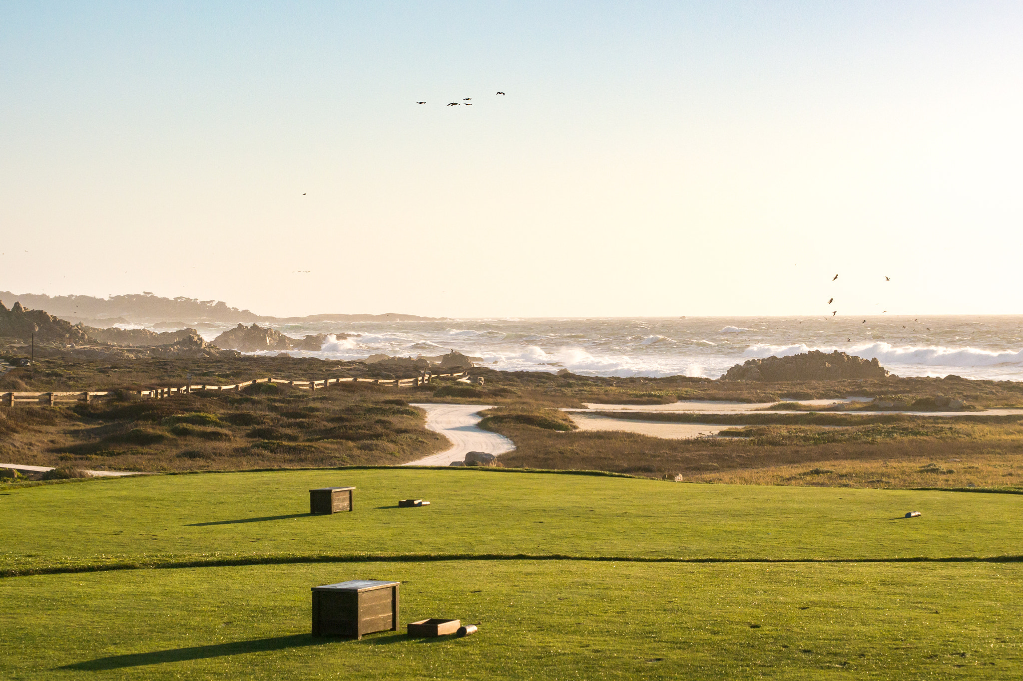 Panasonic Lumix DMC-G5 sample photo. Pebble beach tees photography