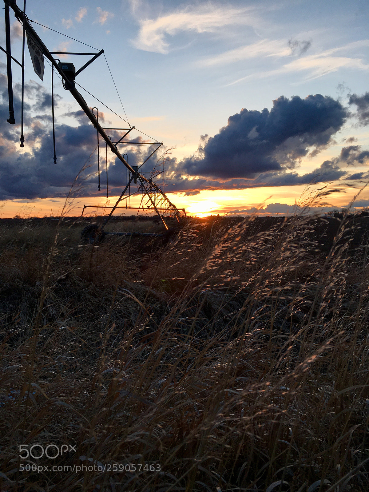 Apple iPhone 6s sample photo. Rural bliss photography