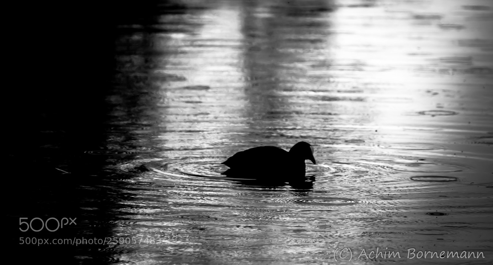 Sony SLT-A68 sample photo. Rainy day's photography