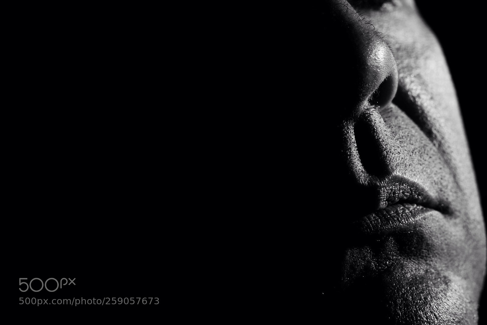 Canon EOS 650D (EOS Rebel T4i / EOS Kiss X6i) sample photo. Memento mori photography