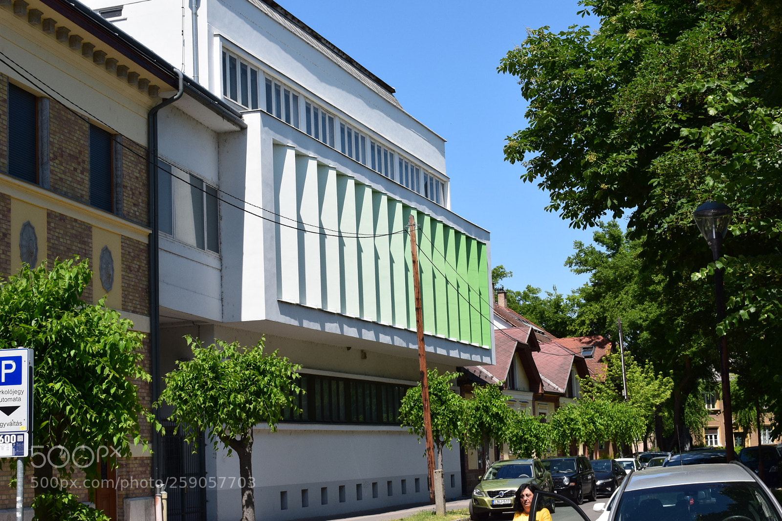 Nikon D5300 sample photo. White to green photography