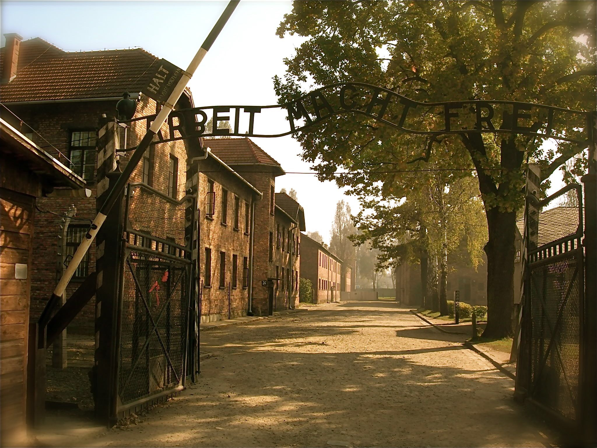 Nikon E7900 sample photo. Auschwitz photography