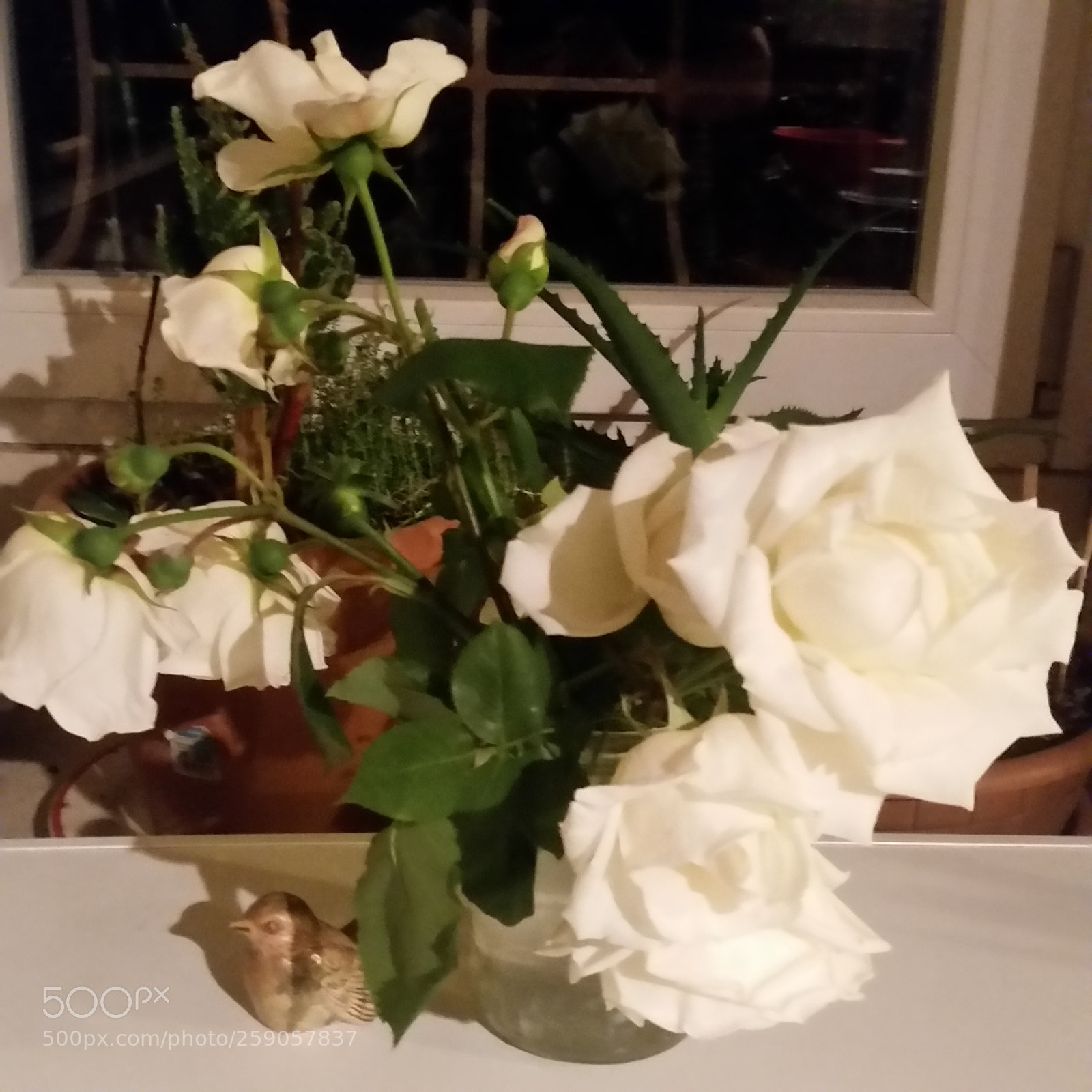 Samsung Galaxy S5 sample photo. White roses photography