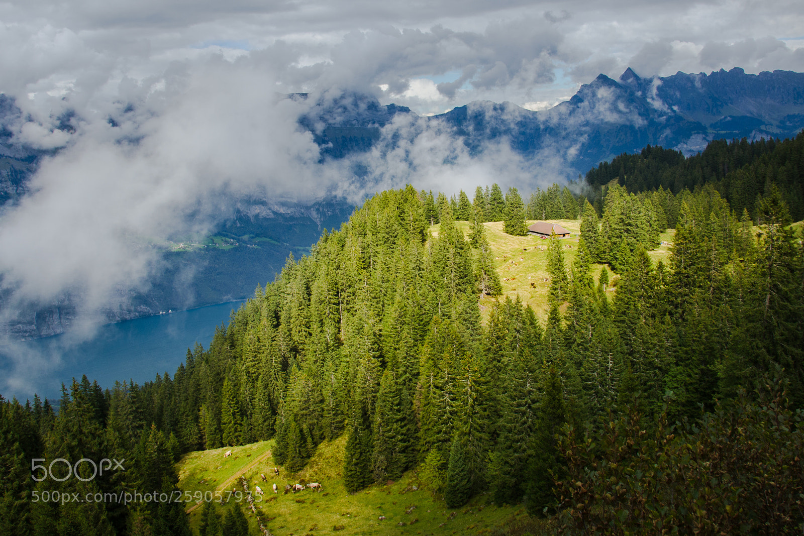 Nikon D5100 sample photo. Walensee photography
