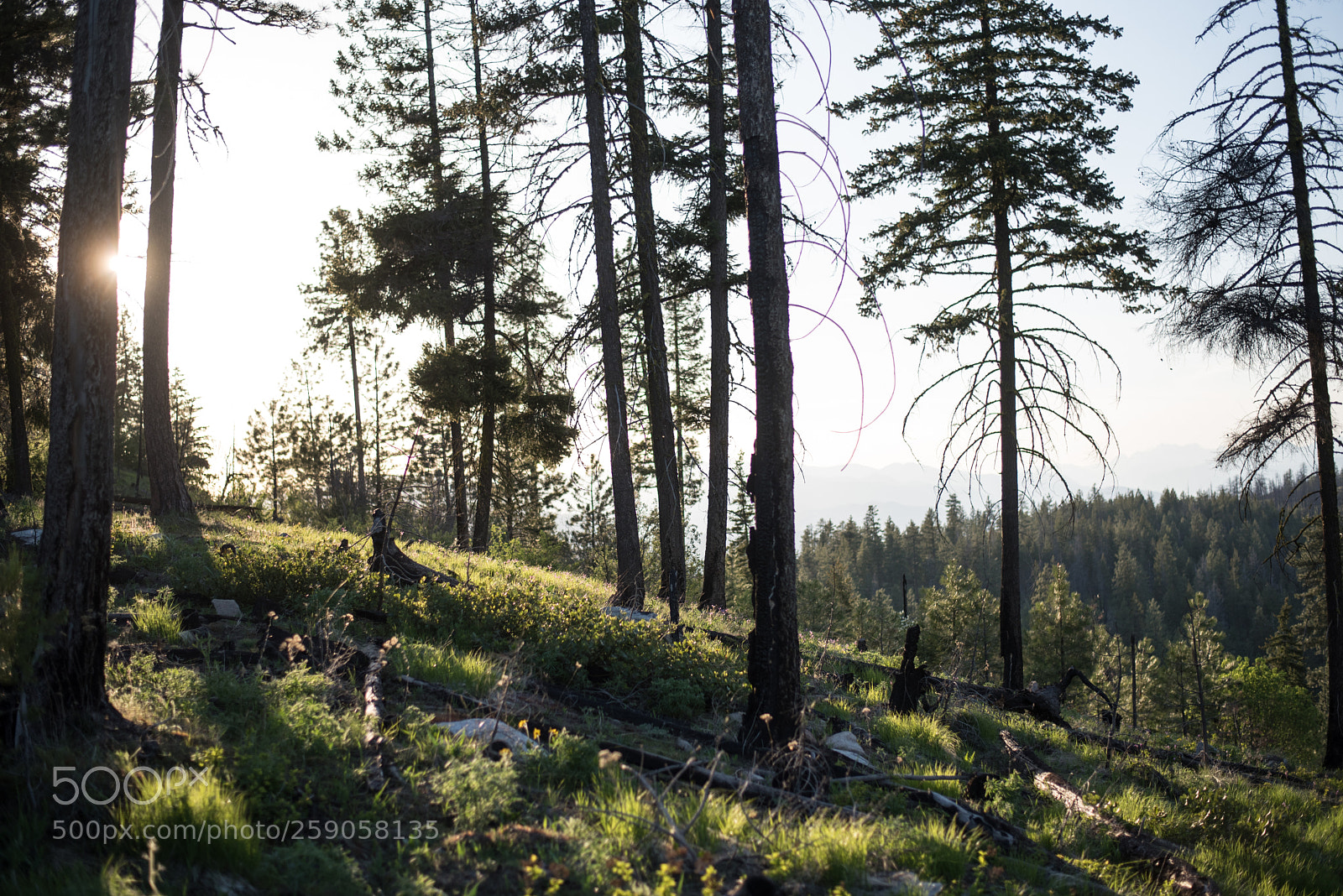 Nikon D750 sample photo. Exploring the cascades! photography