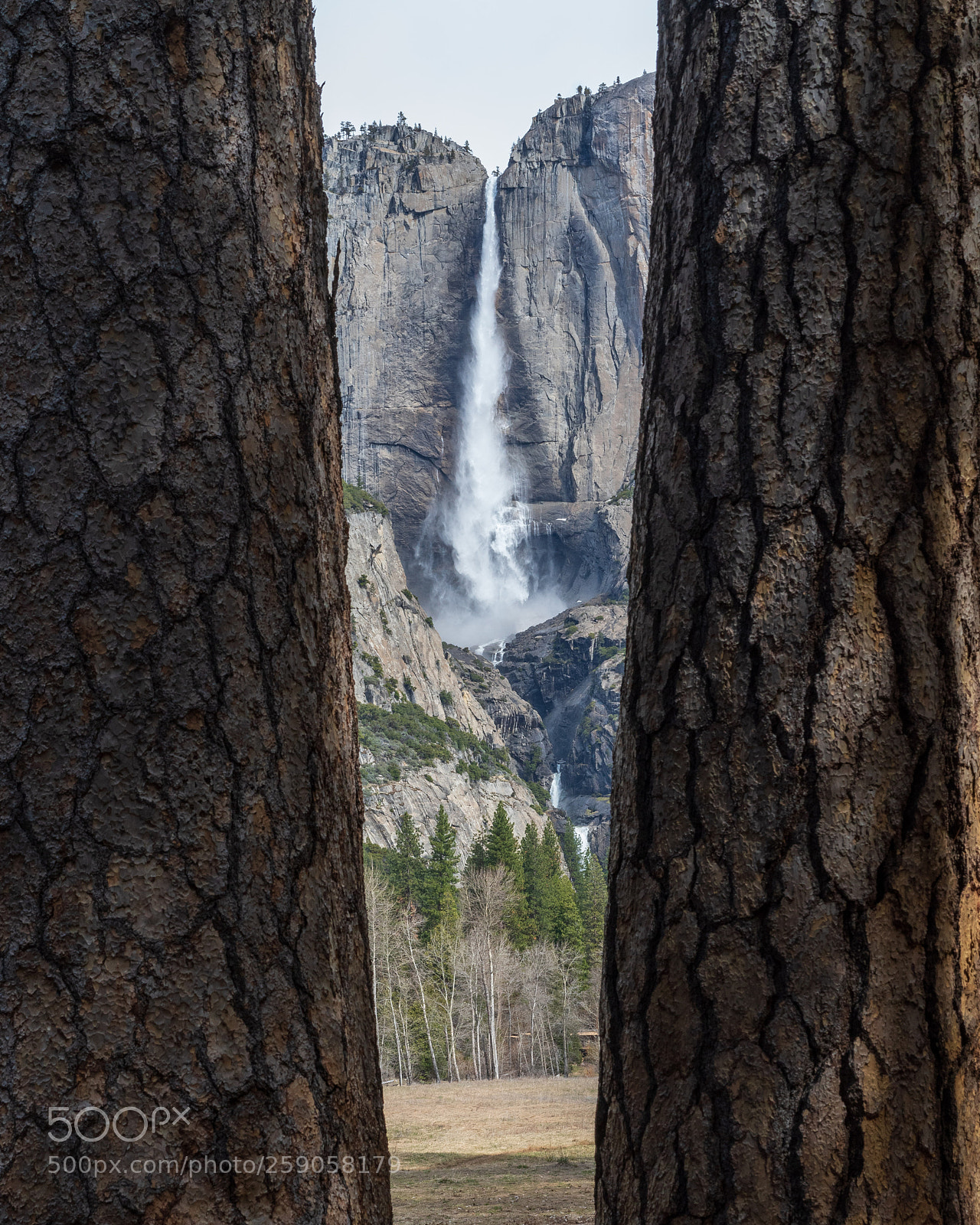 Sony a7R III sample photo. Yosemite falls in a photography