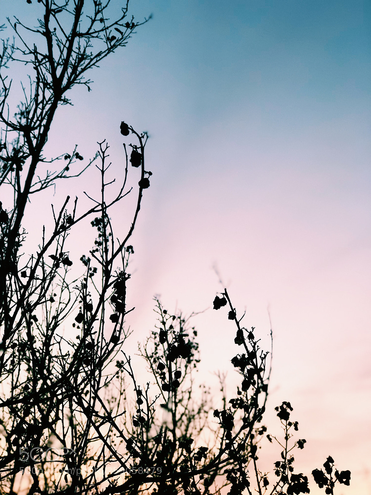 Apple iPhone 8 Plus sample photo. Colorful skies photography