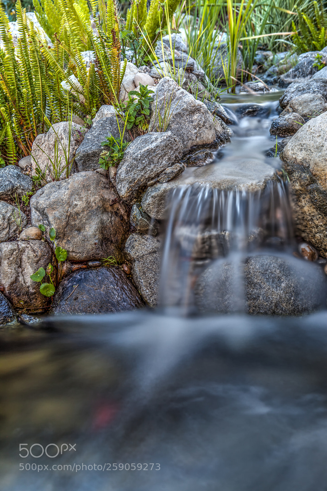 Canon EOS 5D Mark II sample photo. Little thing photography