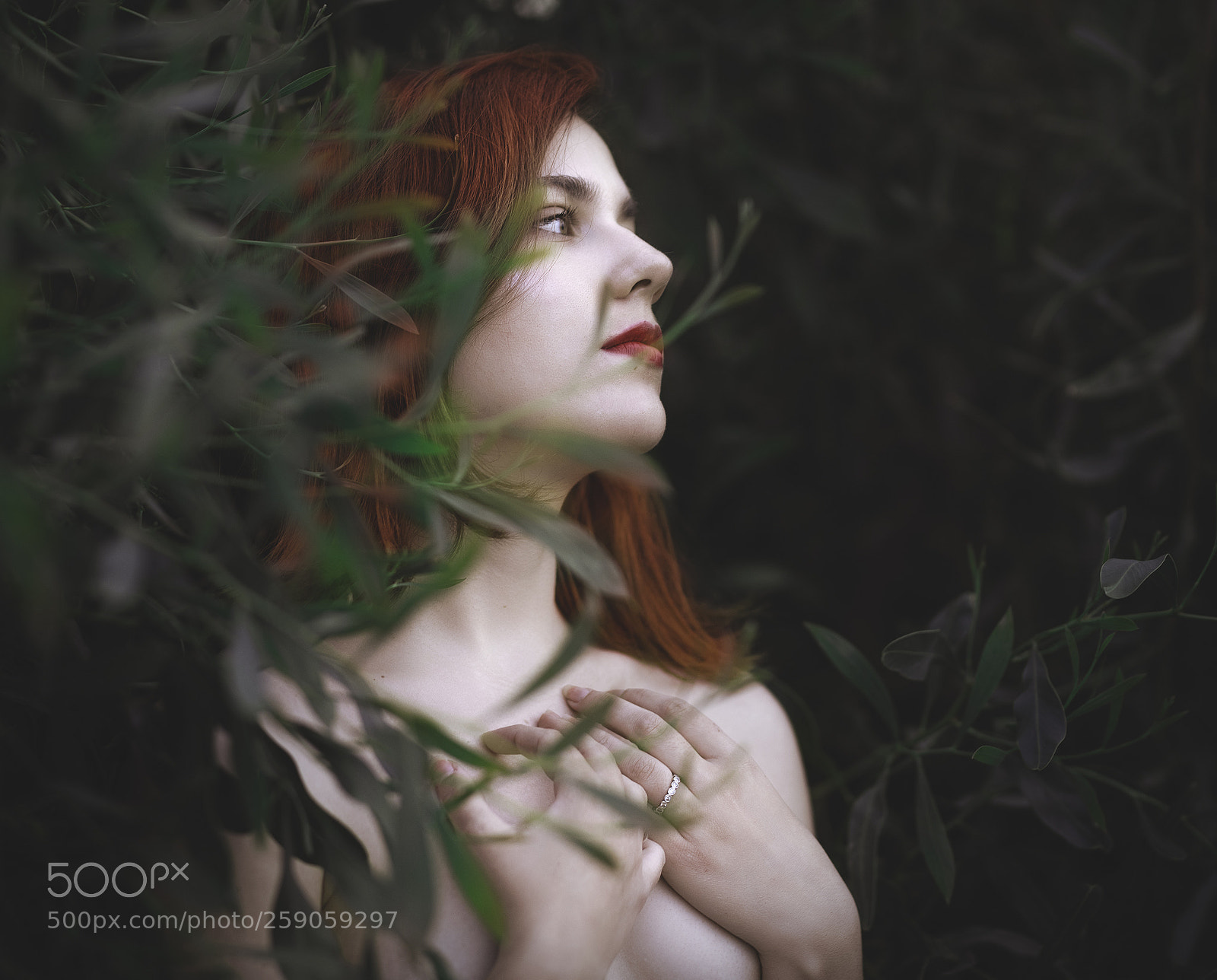 Nikon D810 sample photo. Untitled photography
