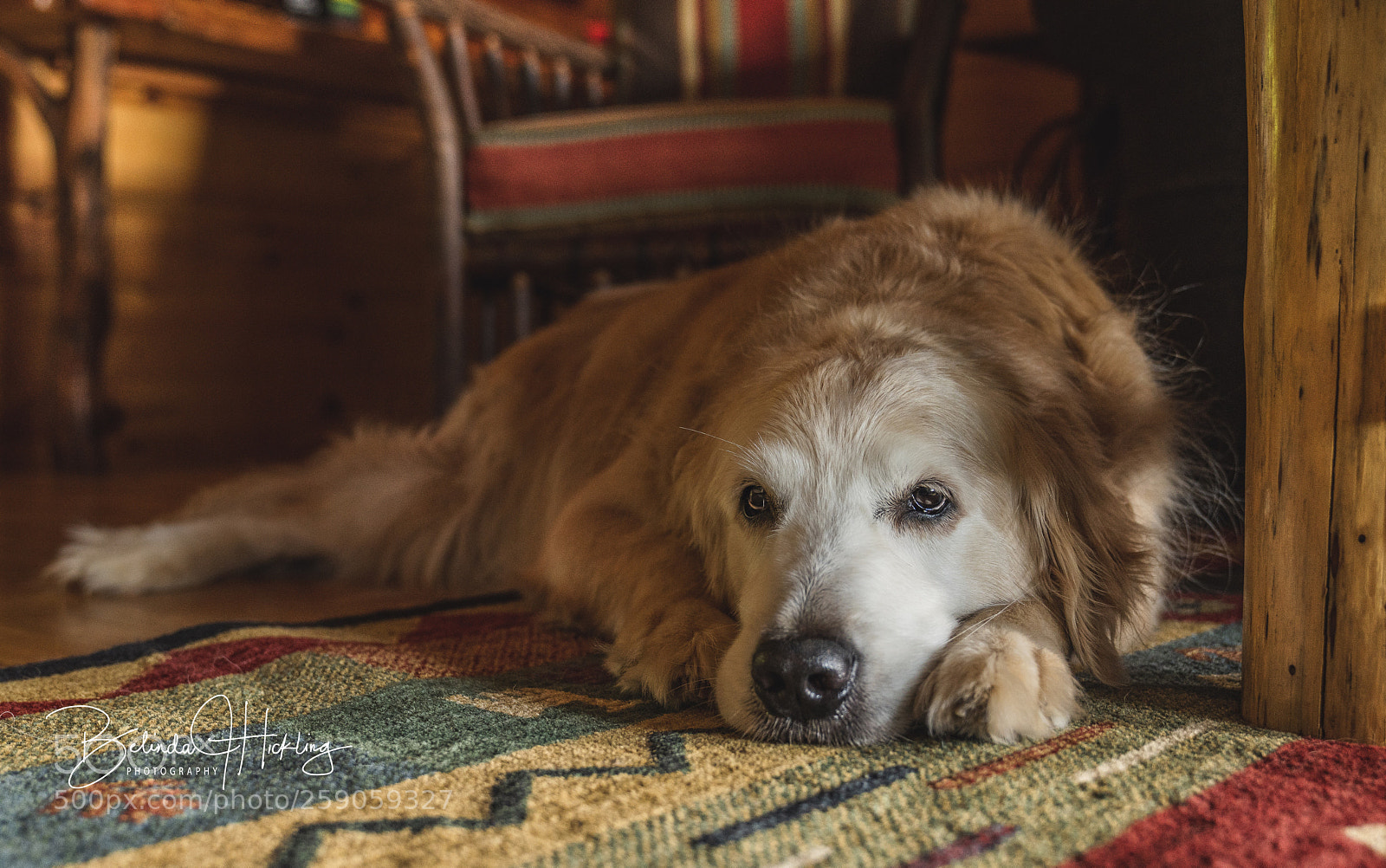 Sony a7R III sample photo. Cabin fever photography