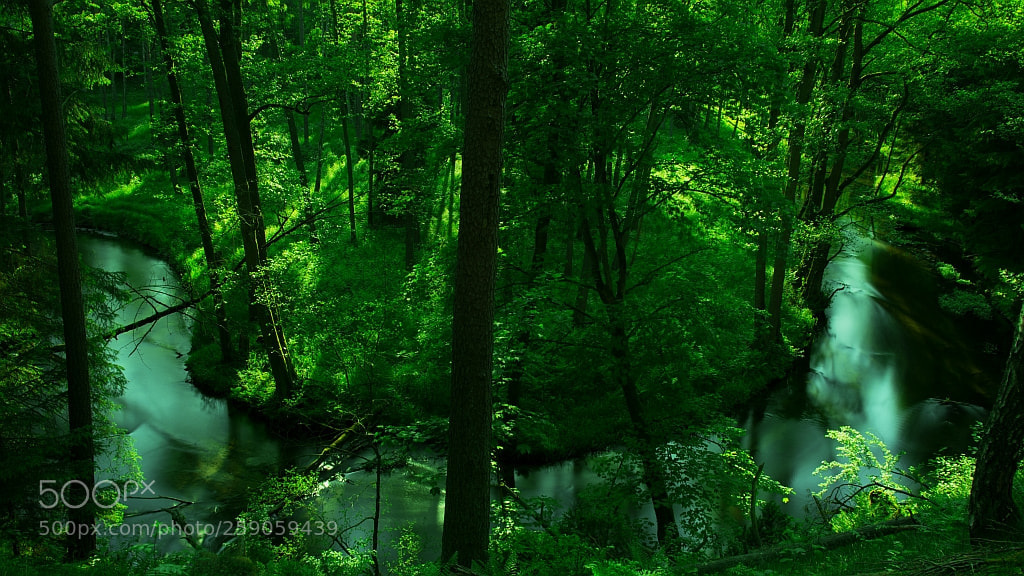 Nikon D7100 sample photo. ......... photography