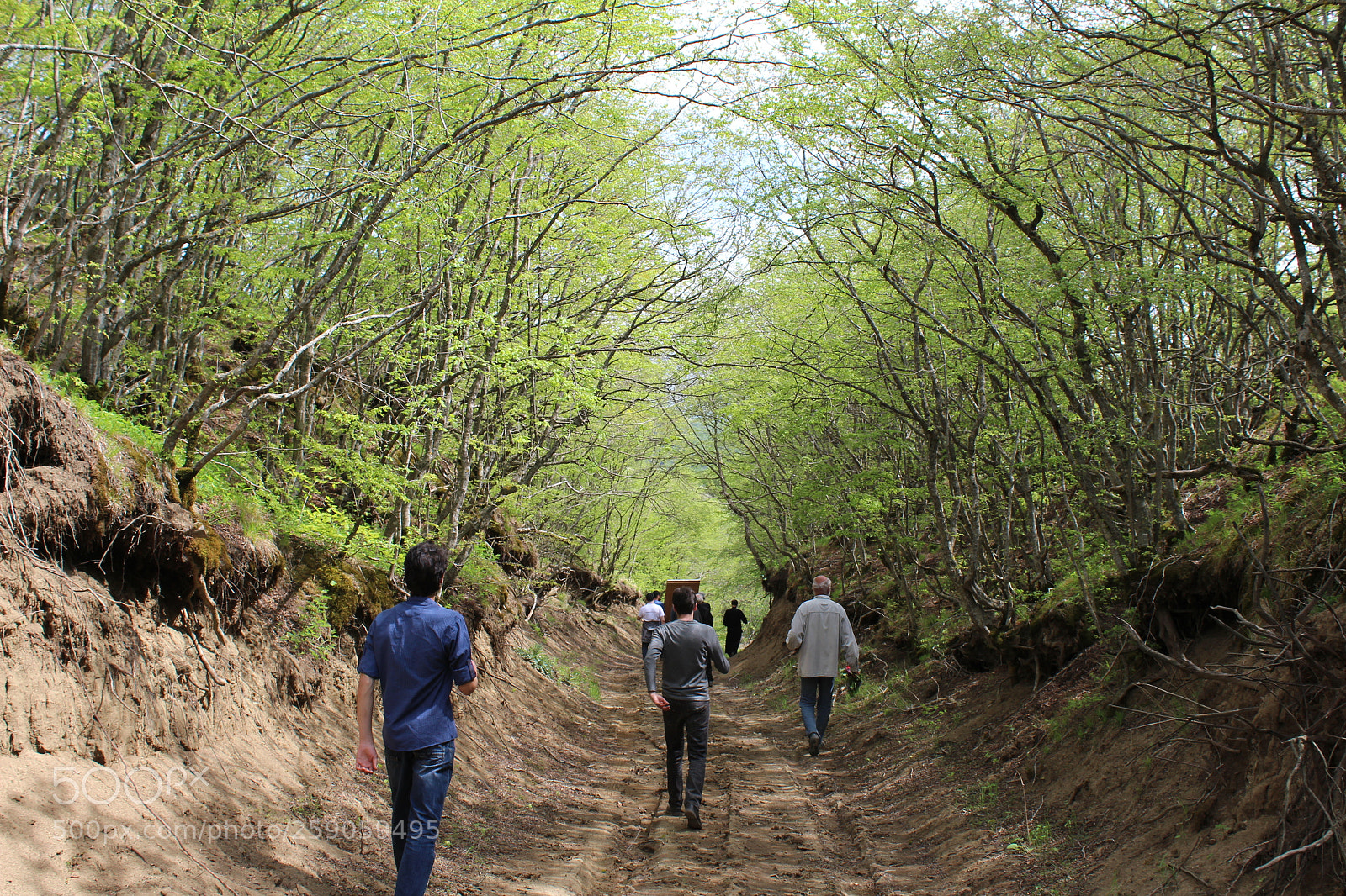 Canon EF-S 18-55mm F3.5-5.6 III sample photo. The road - გზა photography