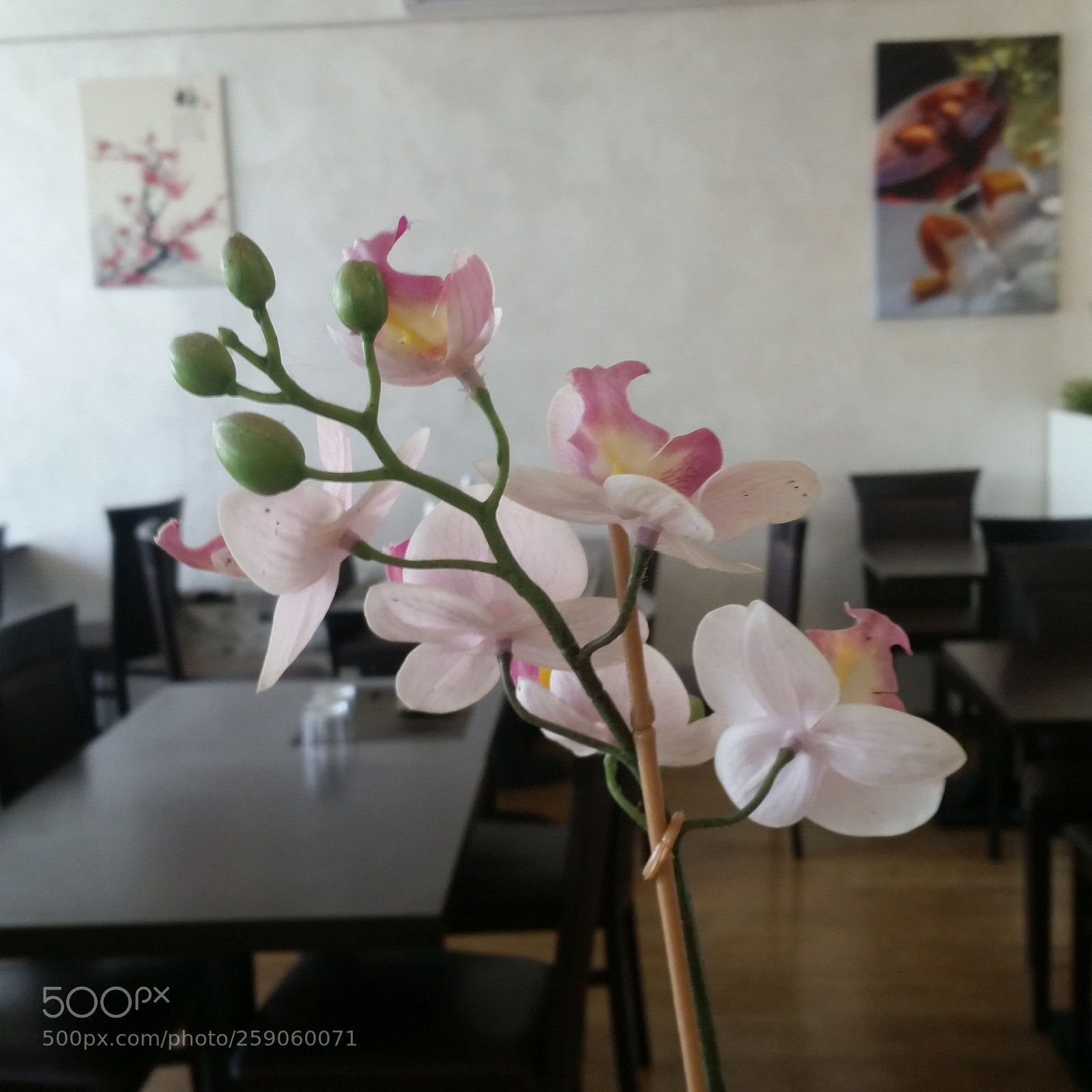 Samsung Galaxy S5 sample photo. Zhou photography