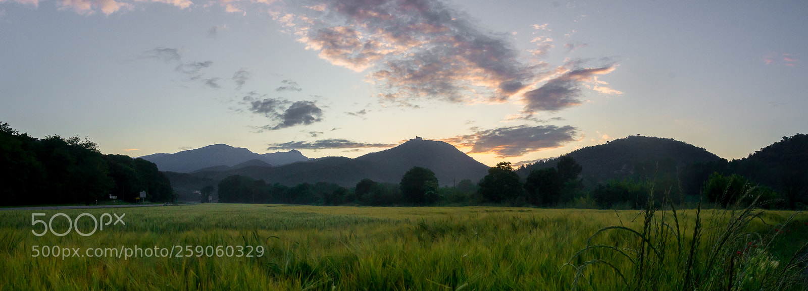 Pentax K-5 sample photo. Untitled photography