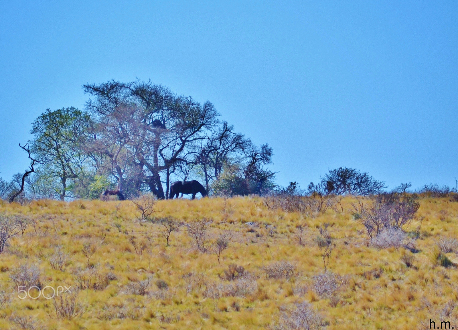 Nikon D3100 sample photo. Ebdf o photography