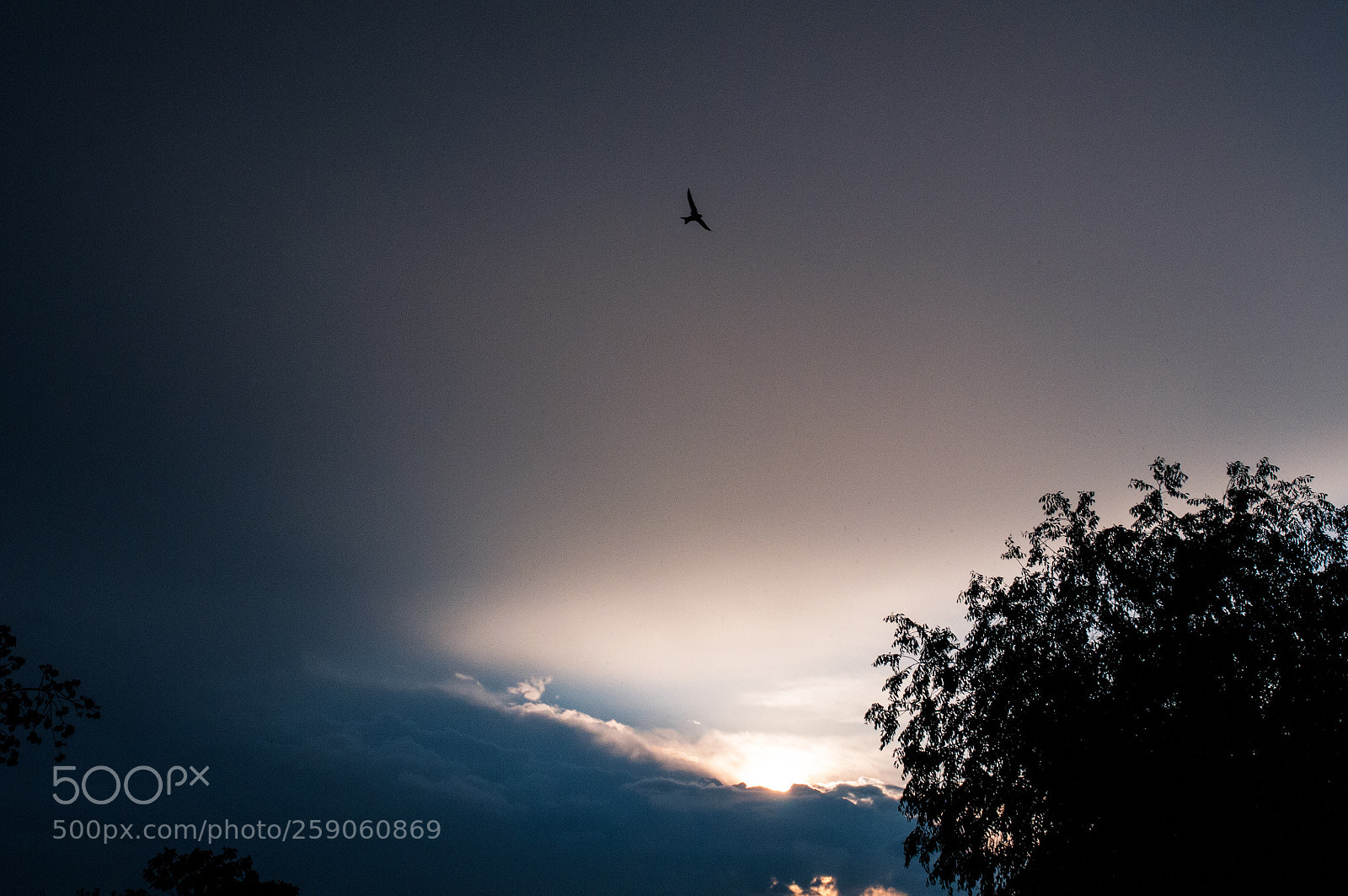 Nikon D300S sample photo. Puesta de sol photography