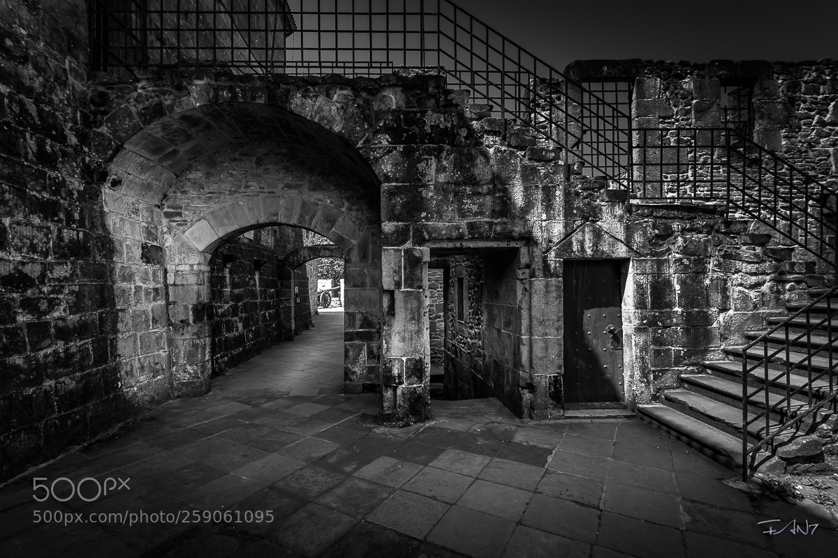Canon EOS 6D sample photo. San sebastien chateau de photography