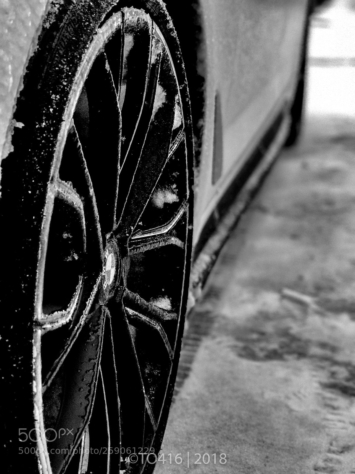 Apple iPhone 7 Plus sample photo. Iced up.. photography