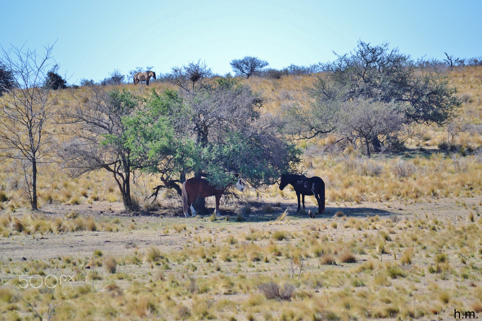 Nikon D3100 sample photo. Fafdo photography
