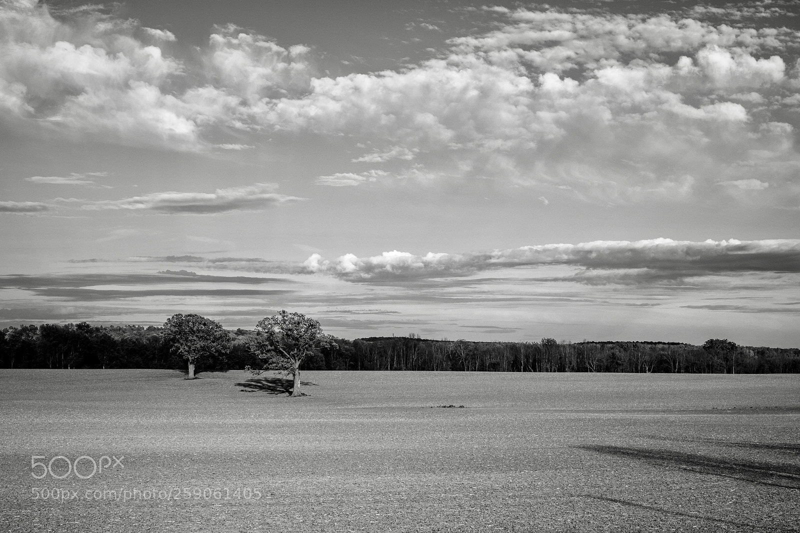 Fujifilm X-T2 sample photo. Wheatland photography