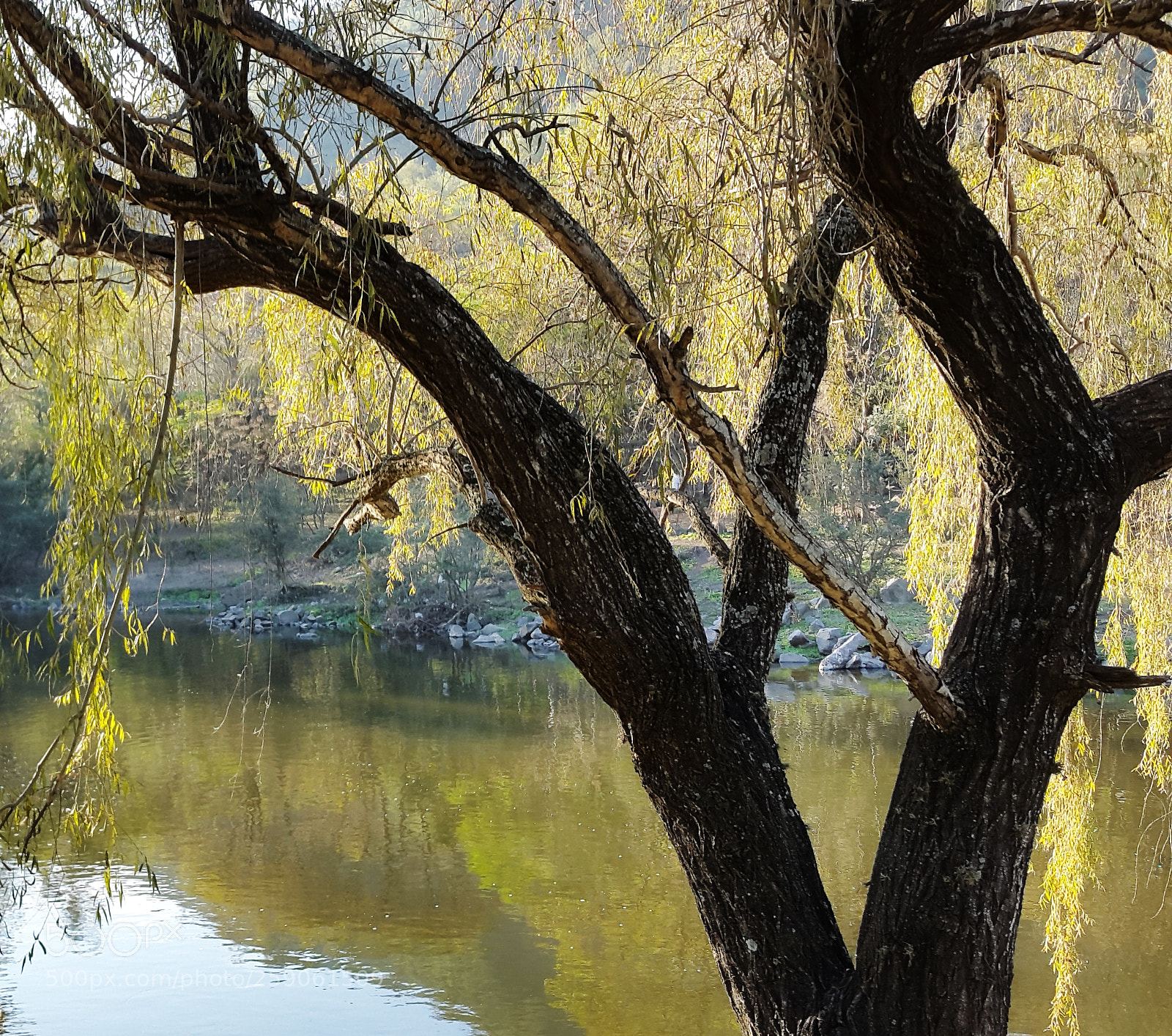 Samsung Galaxy S5 sample photo. Ddfb o photography
