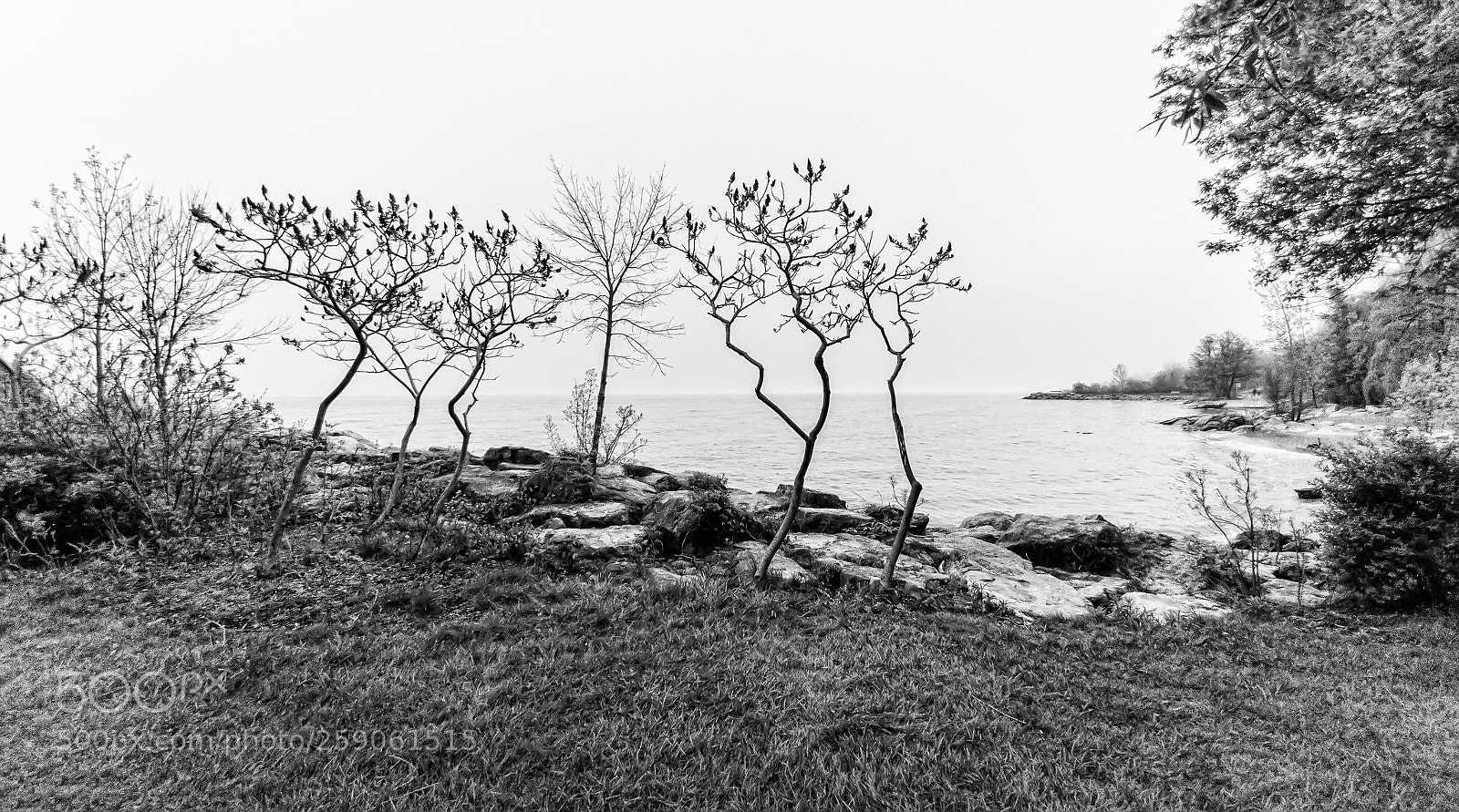LG G5 sample photo. B&w photography