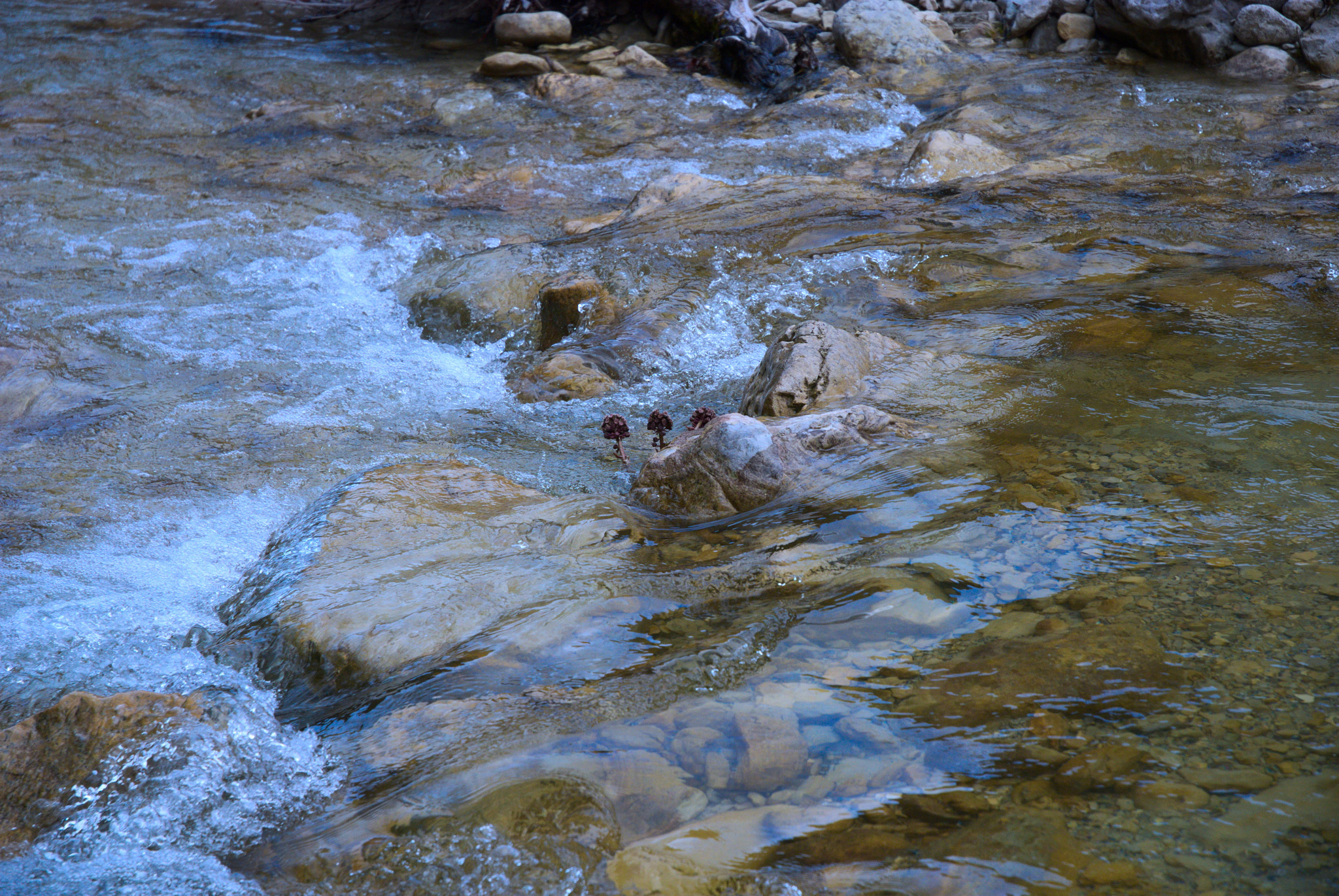 Nikon D80 sample photo. Unyielding photography