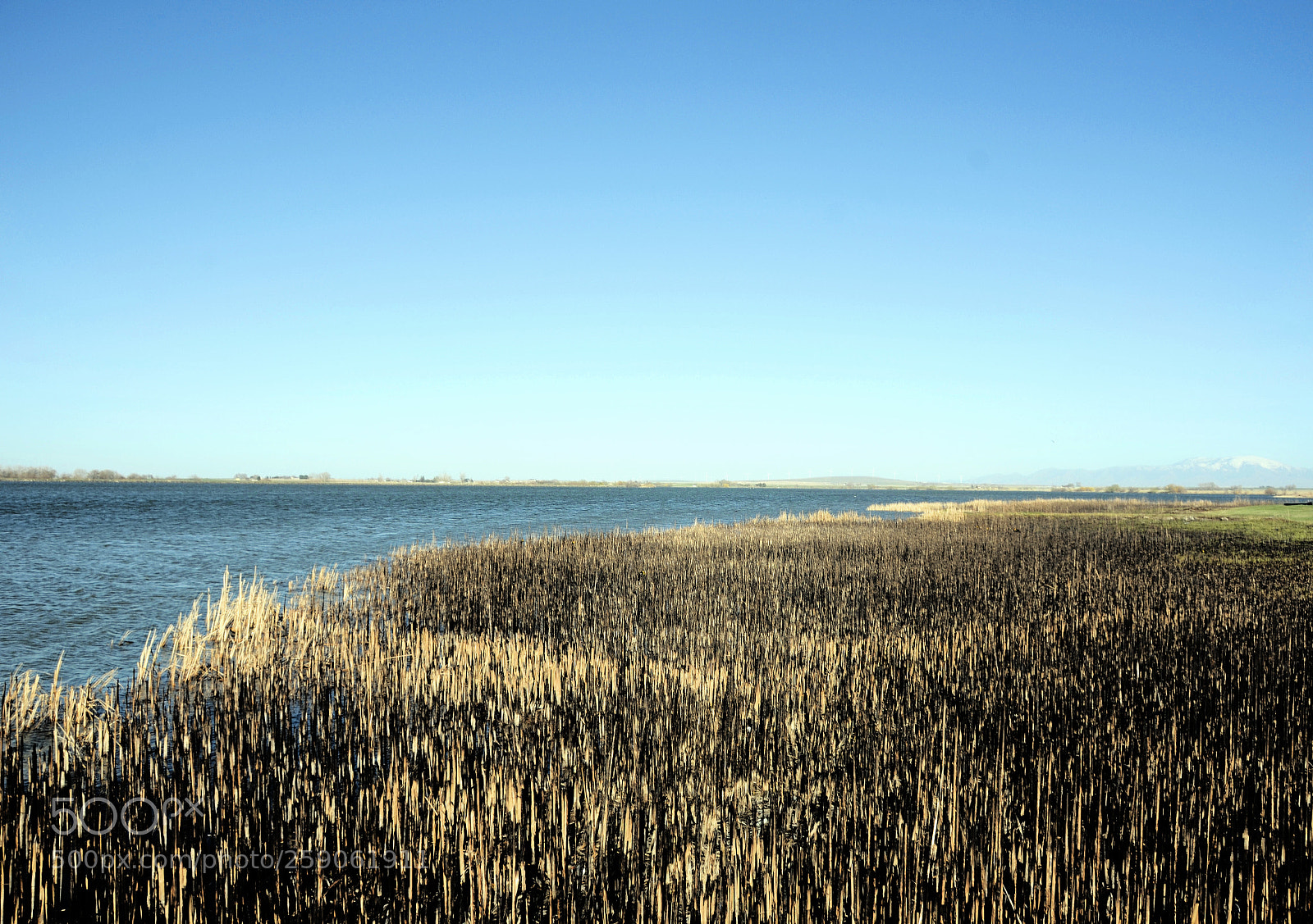 Nikon D7000 sample photo. Texture of nature photography