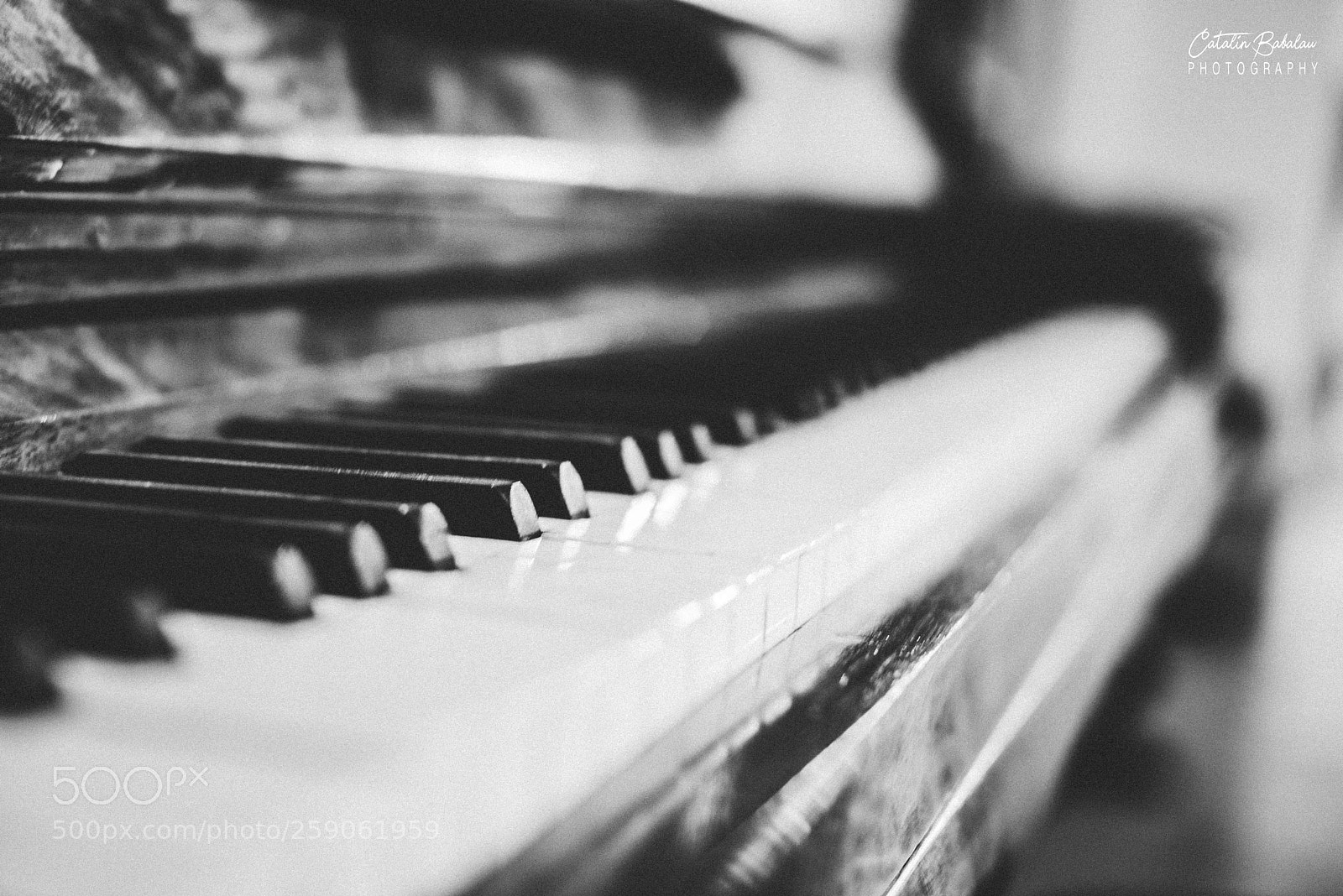 Nikon D610 sample photo. *sound of silence photography
