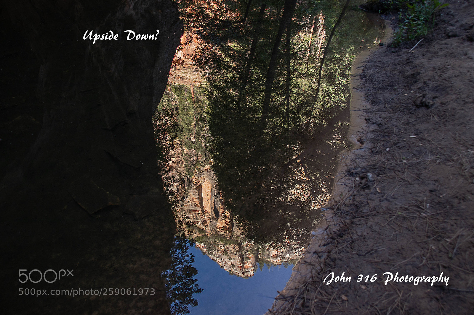 Canon EOS 80D sample photo. Upside down photography