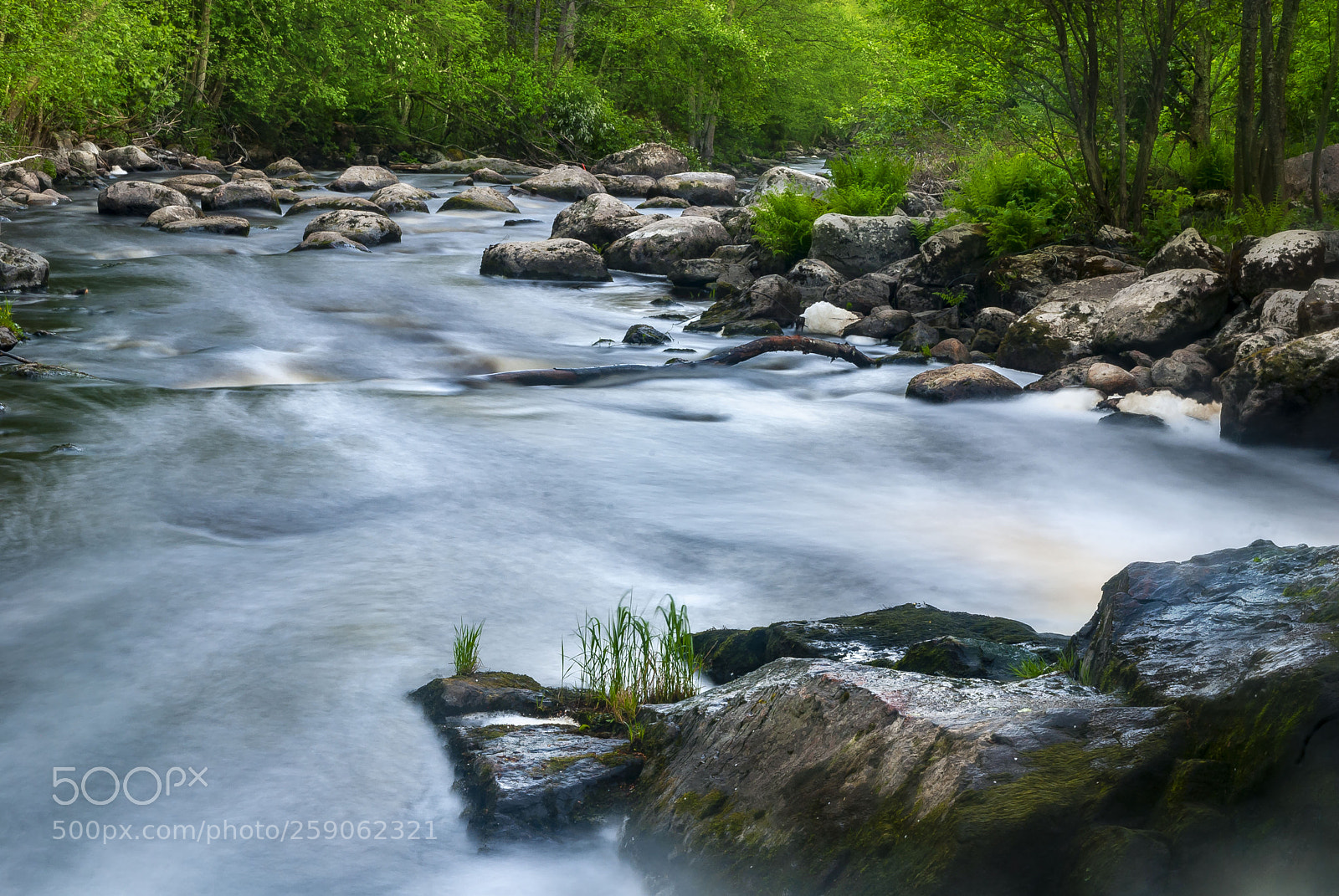 Nikon D80 sample photo. Highway of waters photography