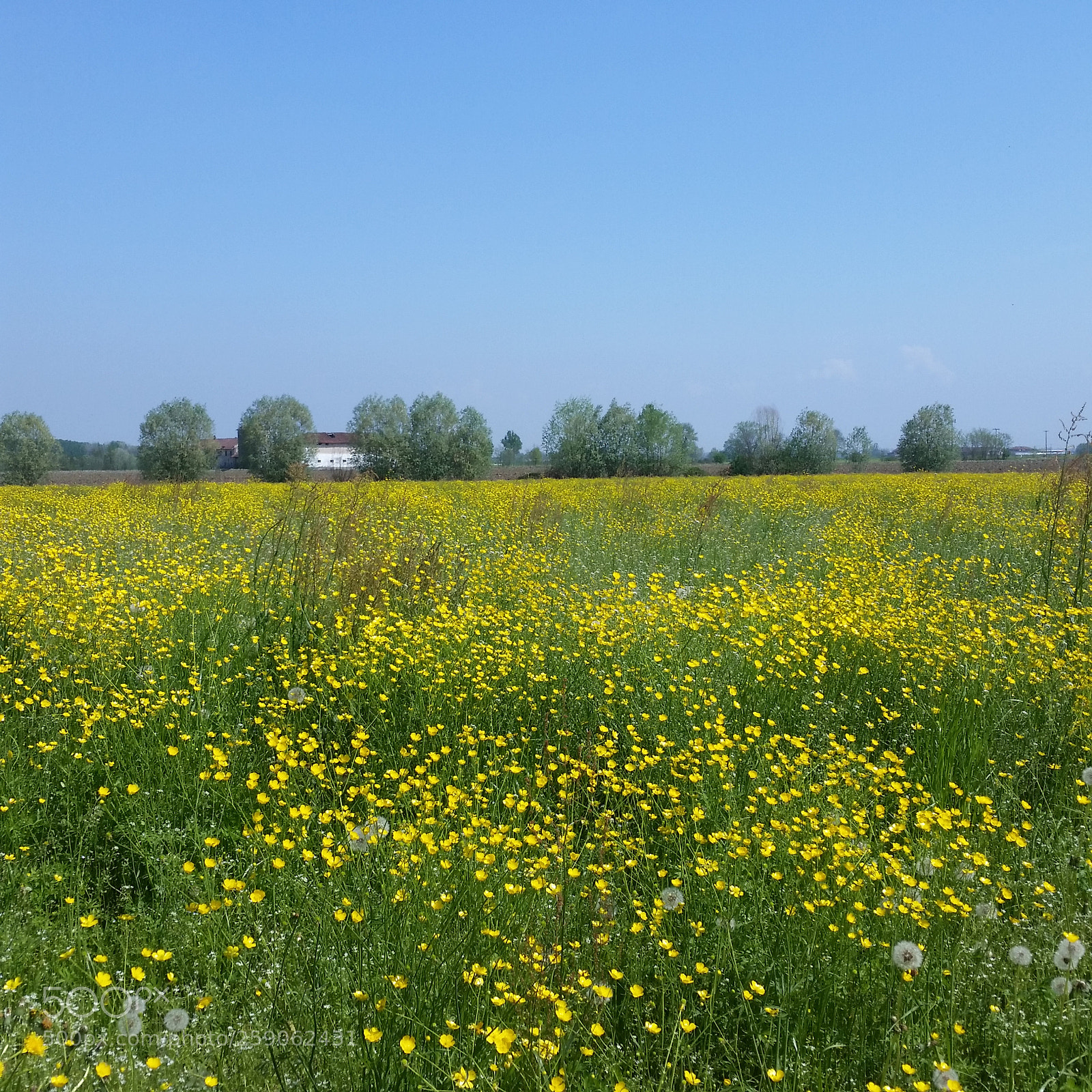Samsung Galaxy S5 sample photo. Landscape photography