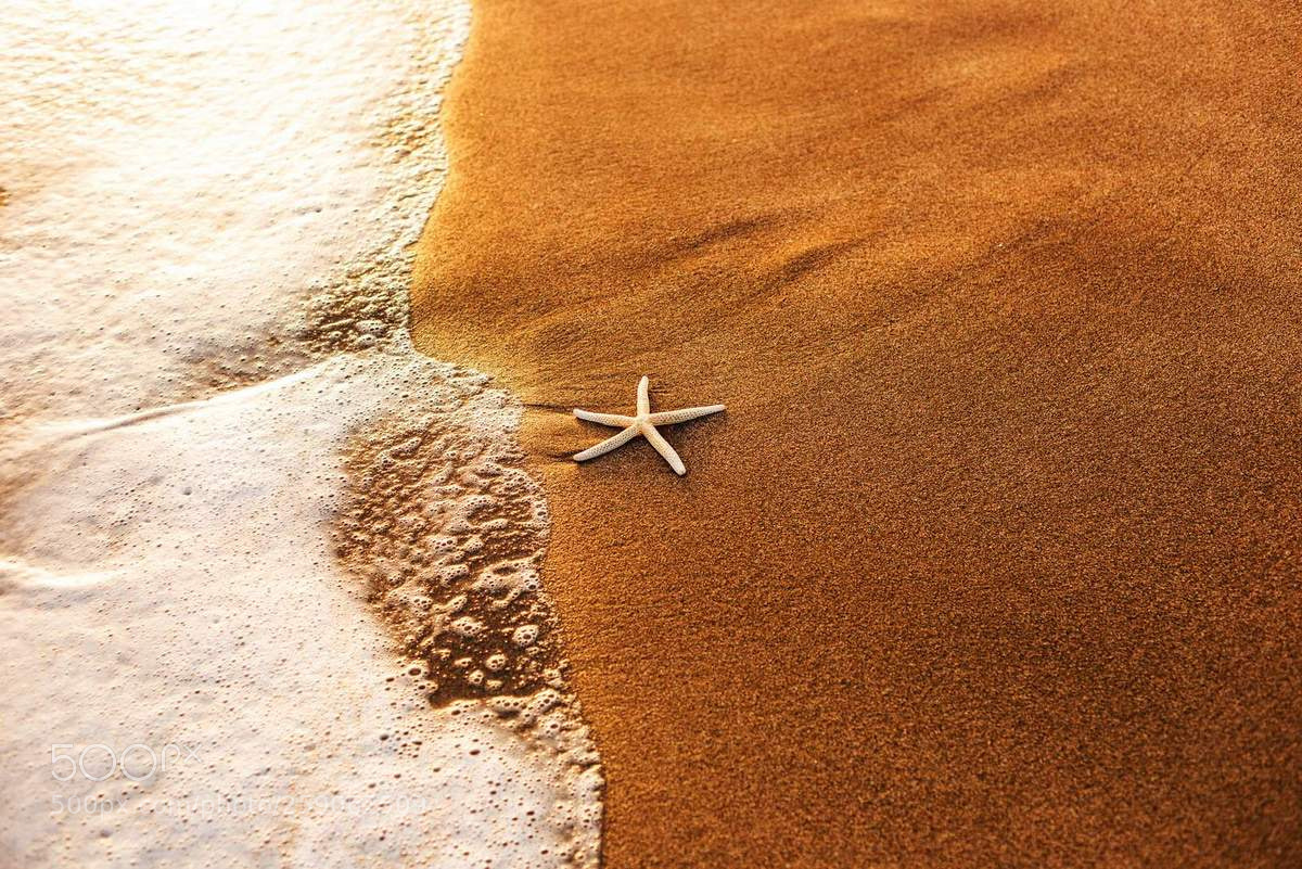 Canon EOS 6D sample photo. Starfish photography