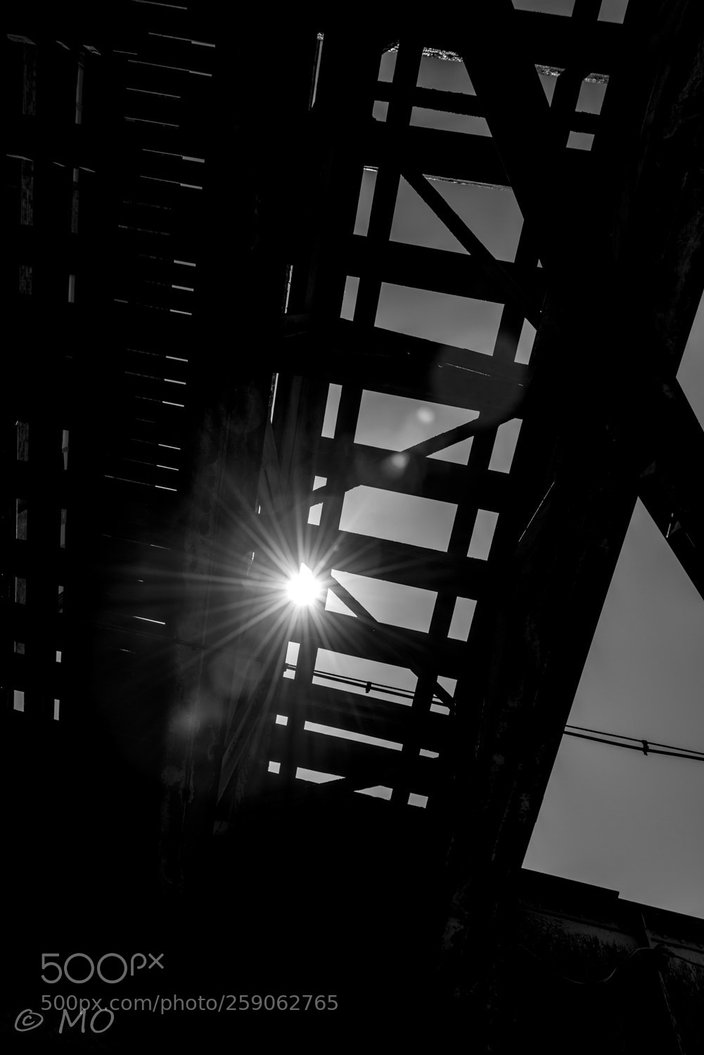 Nikon D800 sample photo. Eye at you photography