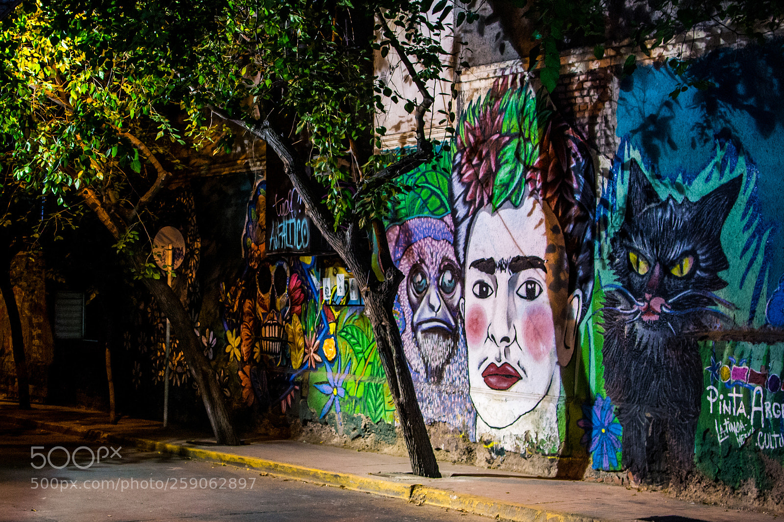 Nikon D3100 sample photo. Frida and more photography