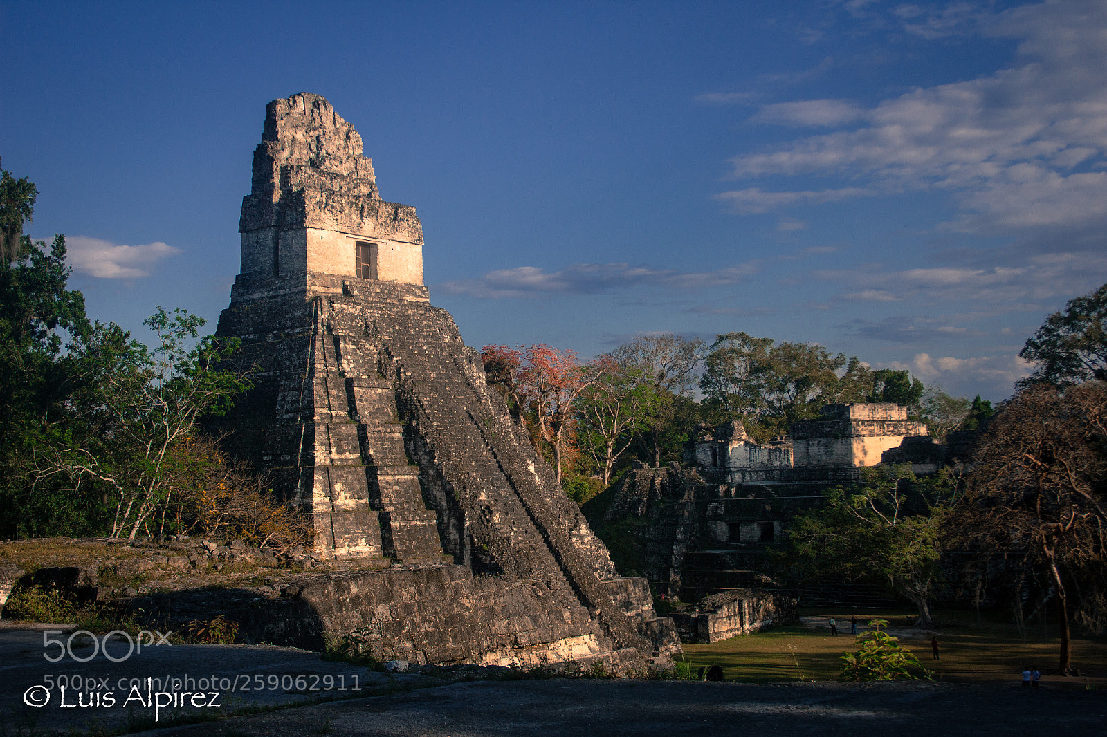 Canon EOS 60D sample photo. Tikal park photography