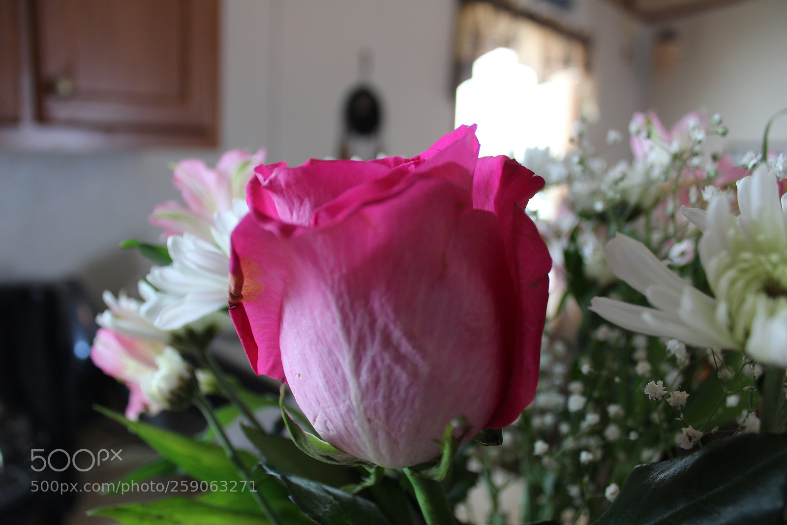 Canon EOS 1200D (EOS Rebel T5 / EOS Kiss X70 / EOS Hi) sample photo. Flowers photography