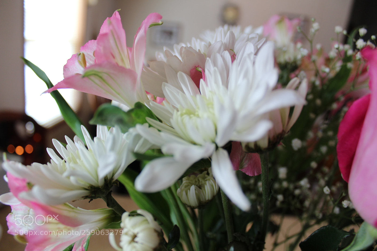 Canon EOS 1200D (EOS Rebel T5 / EOS Kiss X70 / EOS Hi) sample photo. Flower photography