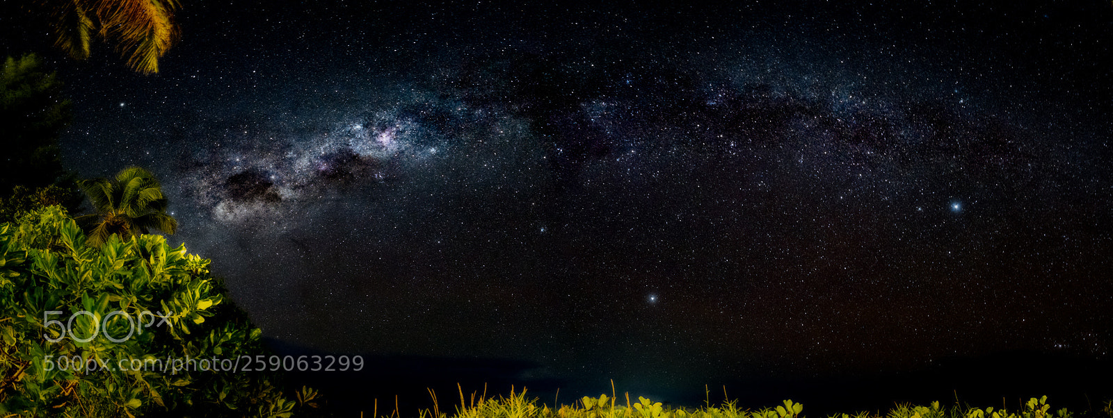 Nikon D810 sample photo. Star light, star bright... photography