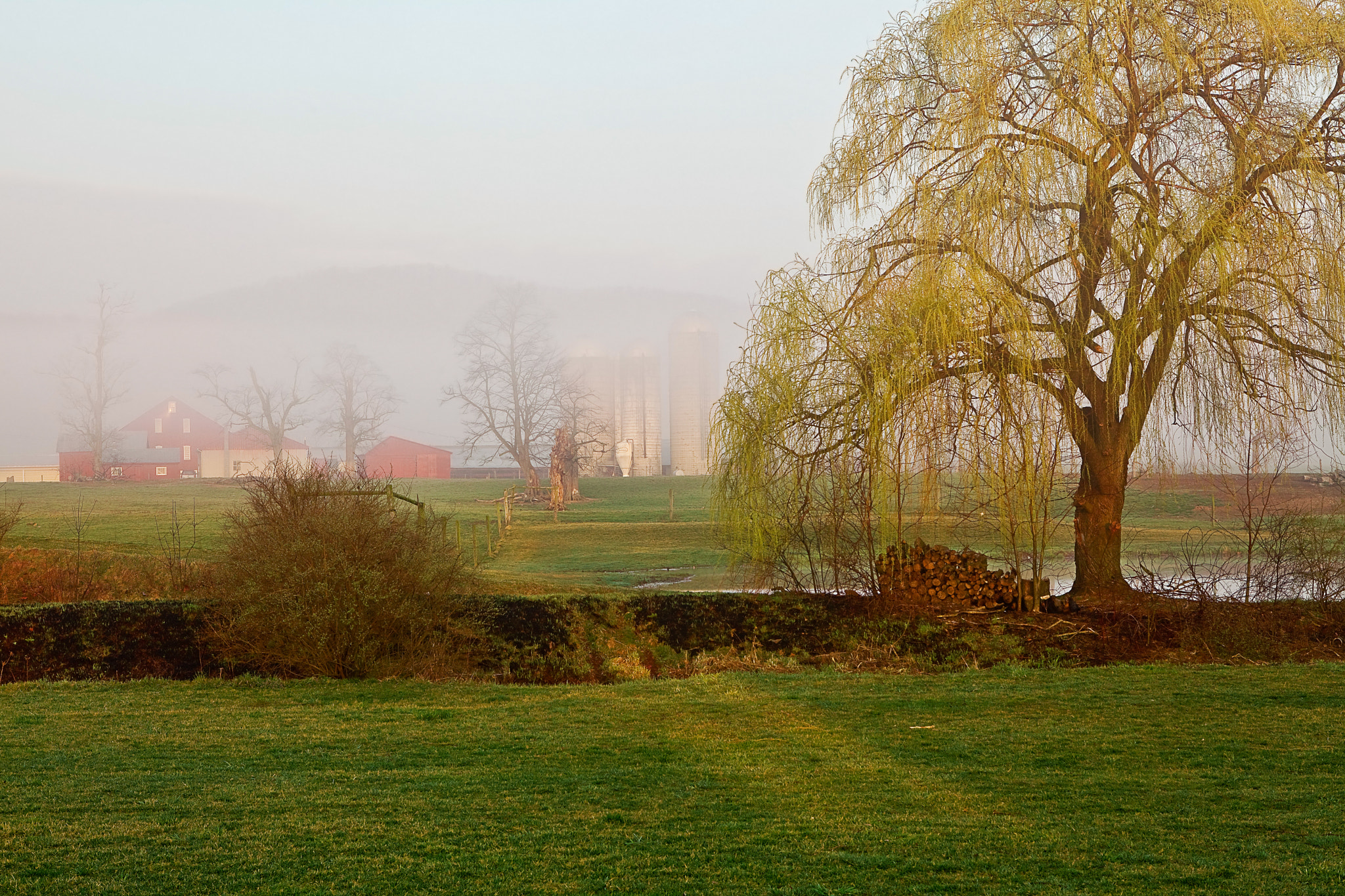 Pennsylvania, Morrison Cove, Sunrise, Fog, Landsca