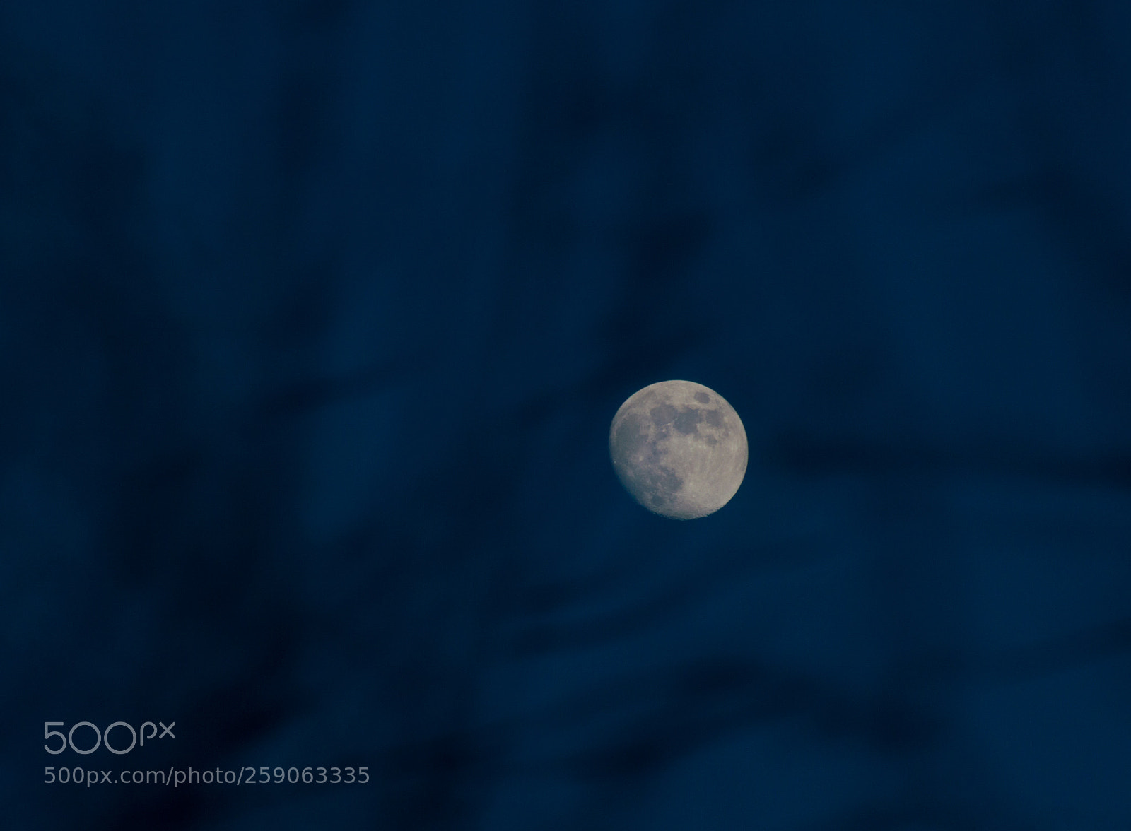 Nikon D3200 sample photo. Moon and running trees photography